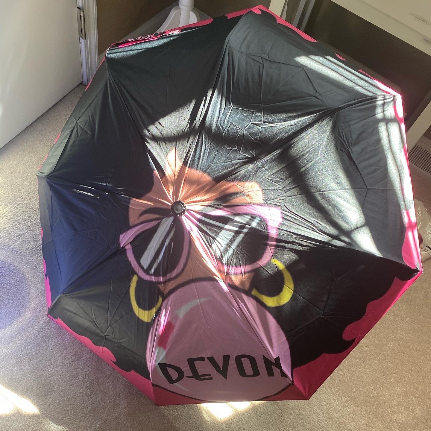 Custom Umbrella